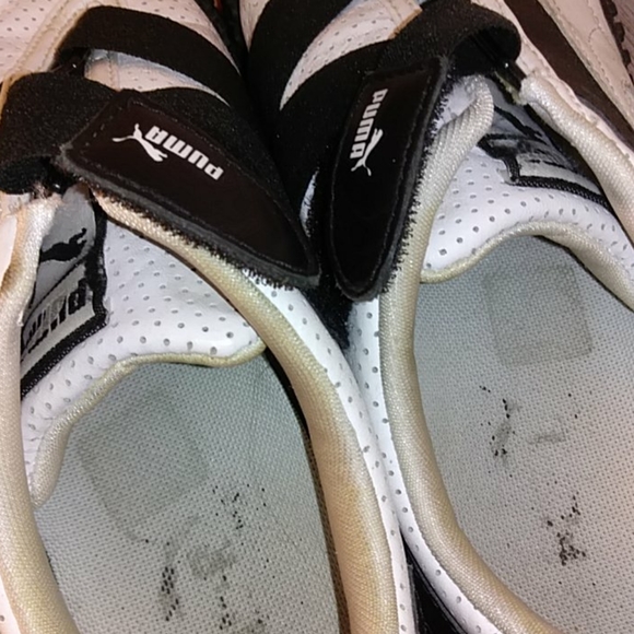 Puma - Picture 4 of 12